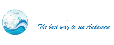 best training for cybersecurity near me